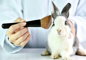6 marcas de cosméticos que não fazem teste em animais
