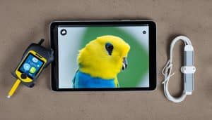 Como pesar animais com apenas uma foto