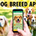 Identifique a Raça do Seu Cachorro com o este app