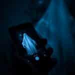 Descubra o Melhor Aplicativo para Ver Fantasmas