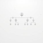 App para Descobrir seus Antepassados: O Guia Definitivo