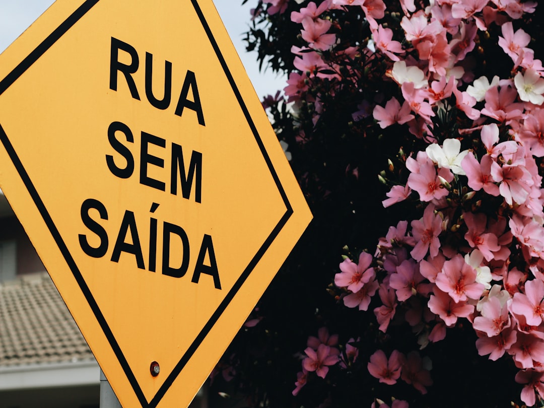 Descubra Quem Visitou Seu Perfil do Facebook